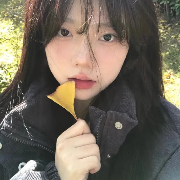 少女法哈
